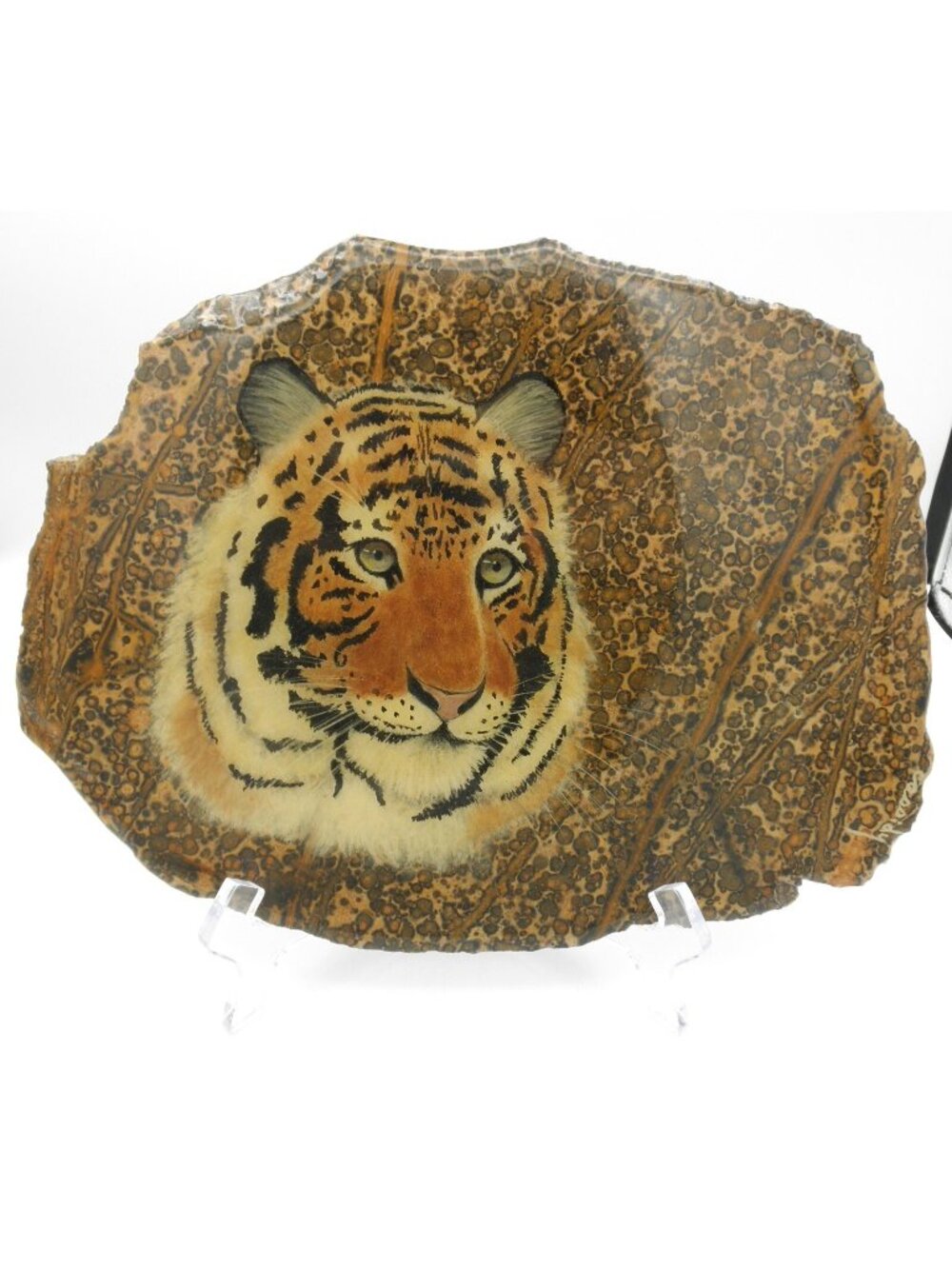 Polished Stone  Art Majestic Tiger Safari Display Piece Trivot Signed Cassidy